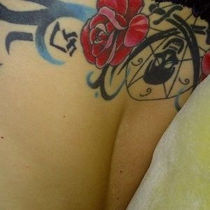 Meet your Posher, Kat